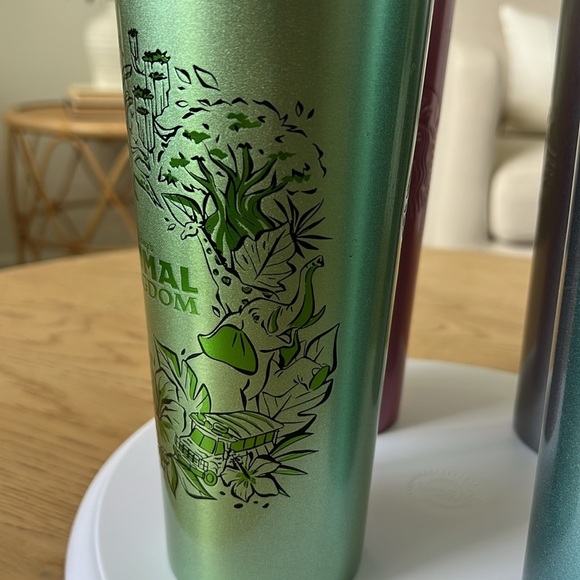 NWT Complete Set of 4 Walt Disney World Parks Stainless Steel Starbucks Tumbler - Picture 11 of 17